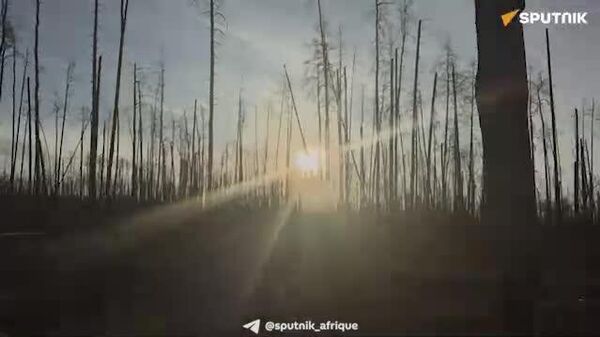 Images exclusives de la Défense russe dans la forêt de Serebrianka - Sputnik Afrique