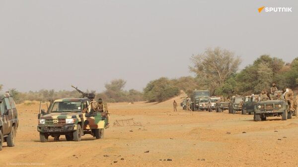 Au Mali, deux opérations à succès contre des groupes terroristes - Sputnik Afrique