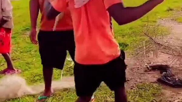 Un gros poisson à la bouche géante a été pêché à Arba Minch, en Éthiopie Un gros poisson à la bouche géante a été pêché à Arba Minch, en Éthiopie - Sputnik Afrique