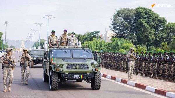 Il est temps que l'Afrique se réveille et que l'Afrique sorte du paternalisme occidental, clame un journaliste - Sputnik Afrique