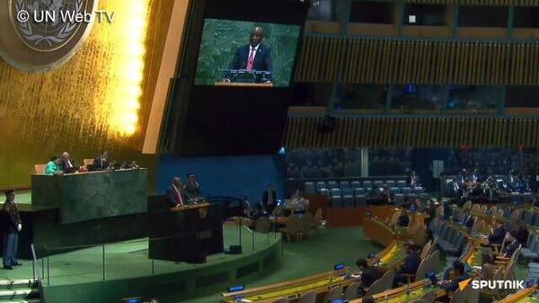 Le Conseil de sécurité de l'Onu doit devenir responsable, représentatif, démocratique et efficace - Ramaphosa - Sputnik Afrique