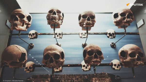 Pretoria exige la restitution des restes humains conservés dans des musées à l’étranger - Sputnik Afrique