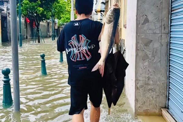 #viral | When the Storm Brings Dinner: Typhoon Ragasa Floods Streets—With Fish - Sputnik Africa