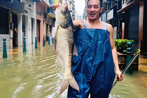 #viral | When the Storm Brings Dinner: Typhoon Ragasa Floods Streets—With Fish - Sputnik Africa