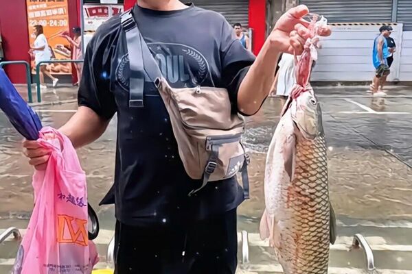 #viral | When the Storm Brings Dinner: Typhoon Ragasa Floods Streets—With Fish - Sputnik Africa