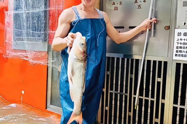 #viral | When the Storm Brings Dinner: Typhoon Ragasa Floods Streets—With Fish - Sputnik Africa