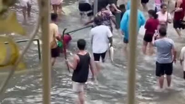 Un typhon apporte non seulement malheur, mais aussi beaucoup de poissons - Sputnik Afrique