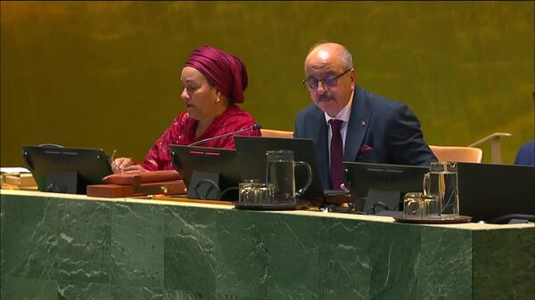 Resource-Rich Countries Must Benefit From Their Minerals, Nigerian VP Says at UNGA - Sputnik Africa