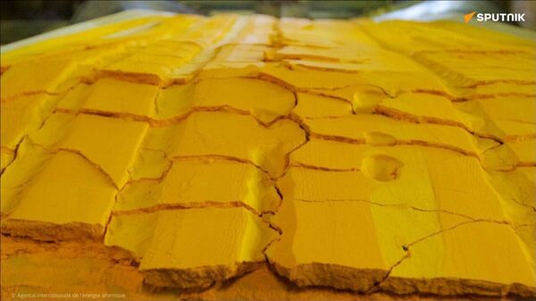 Uranium: le Niger tend la main à la Russie - Sputnik Afrique