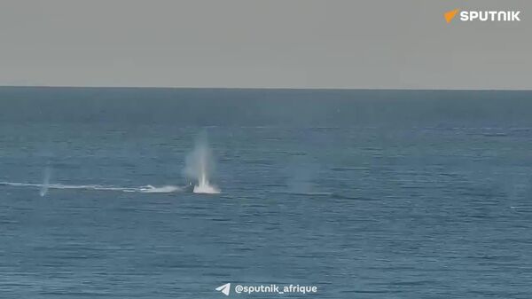 Des drones navals ukrainiens ne peuvent échapper aux frappes russes - Sputnik Afrique