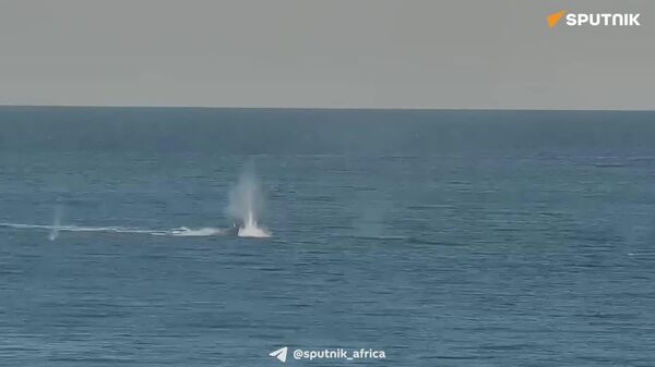 Russian Forces Completely Shatter Ukrainian Unmanned Boats in Black Sea: MoD - Sputnik Africa