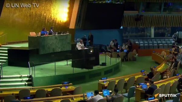 Lesotho’s Key Statements at the 80th UN General Assembly - Sputnik Africa