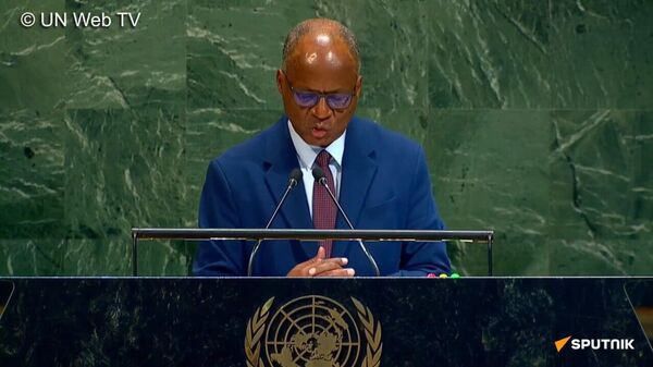 Le Cap-Vert plaide pour la réforme du Conseil de sécurité de l'Onu - Sputnik Afrique