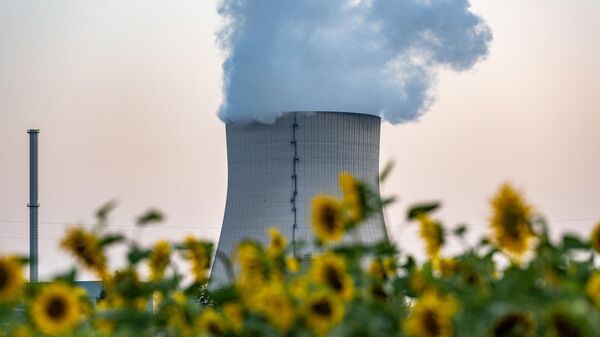 nuclear power plant  - Sputnik Africa