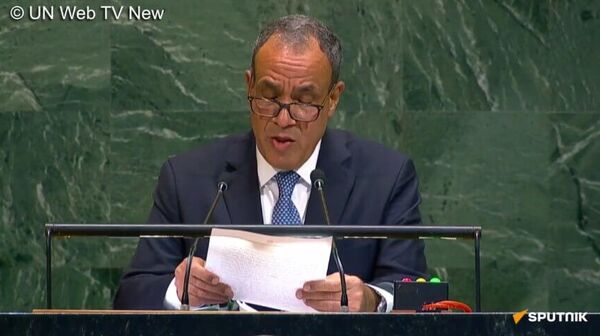 L'Égypte félicite les pays courageux qui ont pris la décision de reconnaître l'État palestinien - chef de la diplomatie - Sputnik Afrique