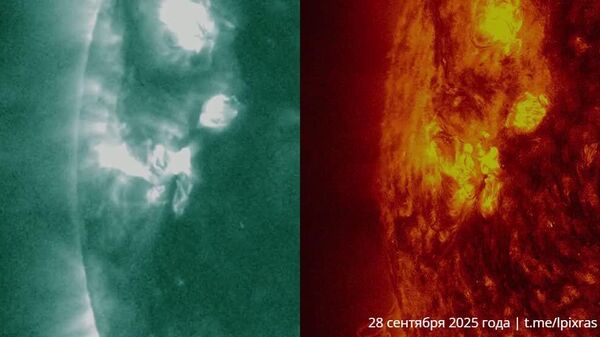 #viral | Strongest Solar Flare Since June Recorded by Russian Scientists - Sputnik Africa