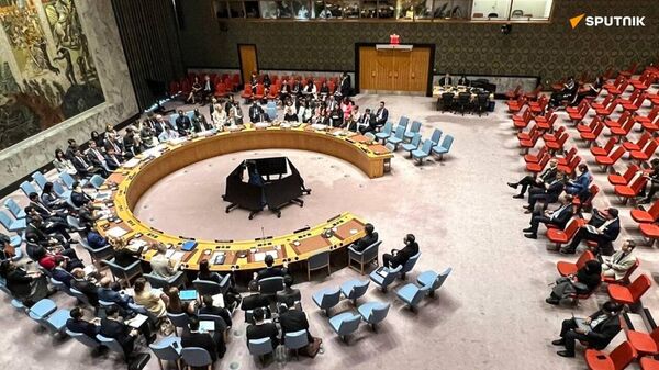 African, Asian, and Latin American Countries Should Be Represented on UN Security Council, Minsk Declares - Sputnik Africa