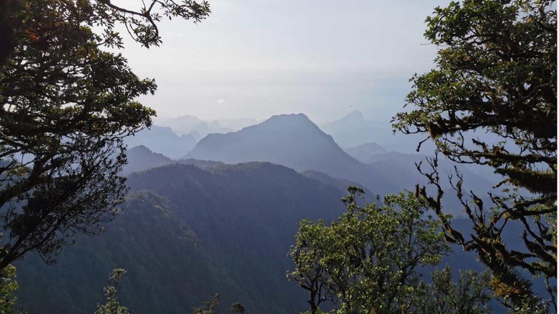Seven New Areas in Six African countries Added to UNESCO World Network of Biosphere Reserves Seven New Areas in Six African countries Added to UNESCO World Network of Biosphere Reserves - Sputnik Africa, 1920, 29.09.2025