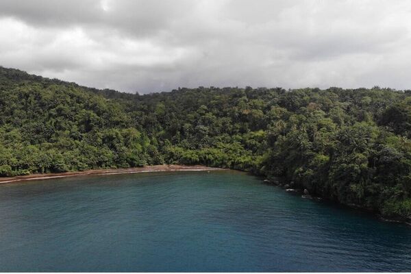 Seven New Areas in Six African countries Added to UNESCO World Network of Biosphere Reserves Seven New Areas in Six African countries Added to UNESCO World Network of Biosphere Reserves - Sputnik Africa