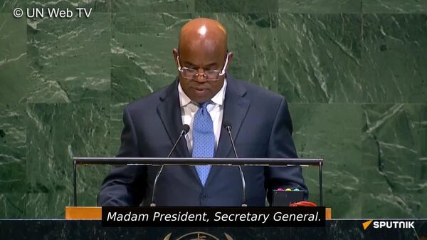 UNSC must be reformed with seats given to Africa: Djibouti's Permanent Representative to the UN - Sputnik Africa