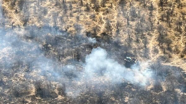 Namibian Etosha National Park Fire Mostly Contained  - Sputnik Africa