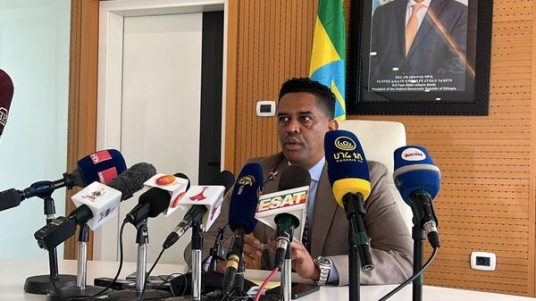 Ethiopian Market Dialogue With Russia is 'Something We Don't Conduct With Any Other Country': Minister - Sputnik Africa