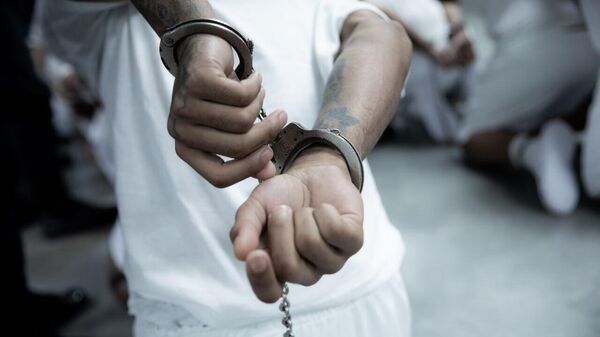 Fake Daughter, Real Jail Time - Sputnik Africa