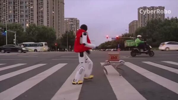 #viral | China's Humanoid & Robo-Dog Team Up tp Complete First Robotic Door-to-Door Drop-Off - Sputnik Africa
