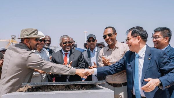 Ethiopia is Africa's Leading Investment Destination, Dangote CEO Says - Sputnik Africa