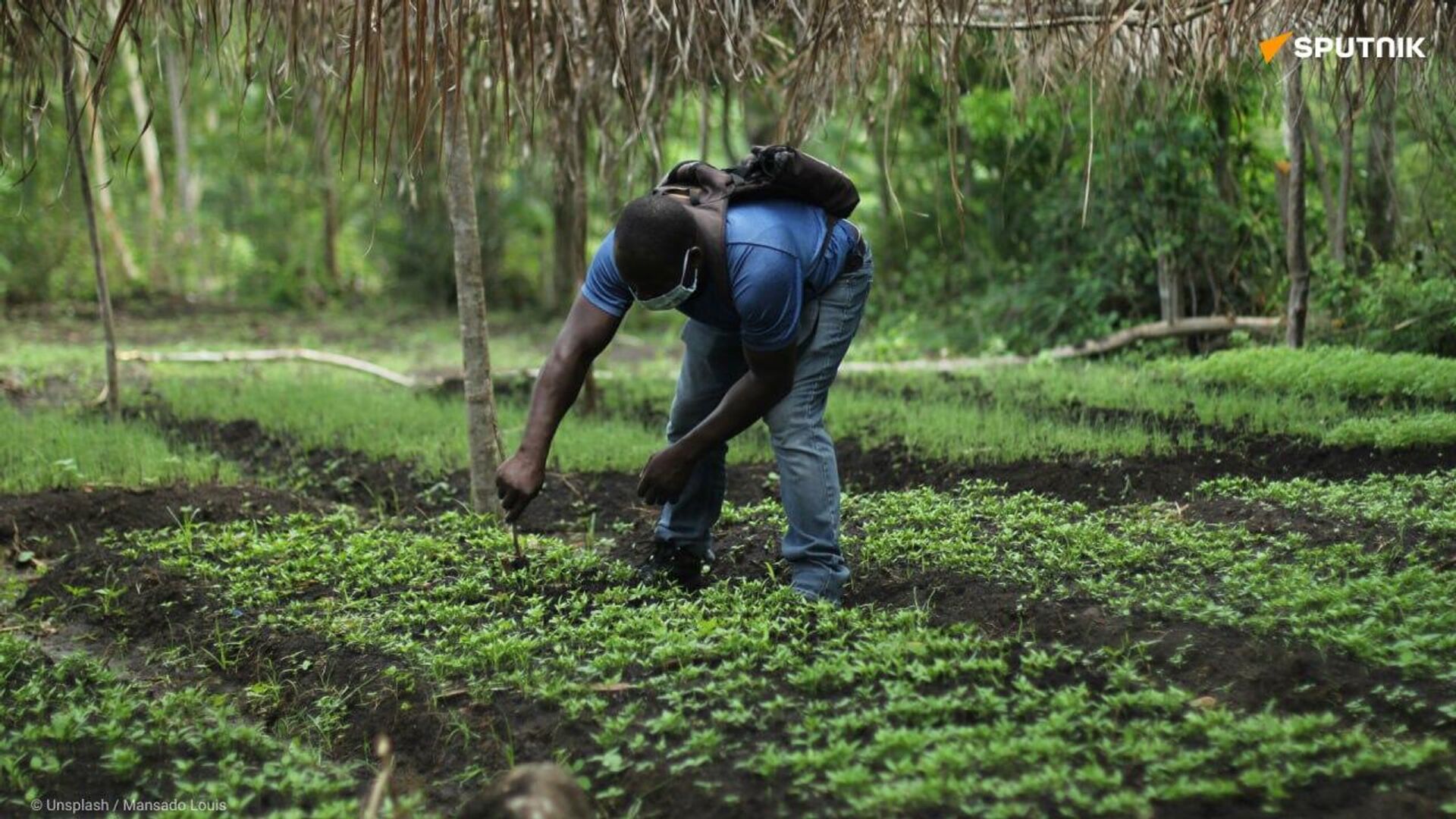 Prohibited Pesticides in Europe Exported to Africa: EU Practices 'Double Standard,' Says Expert Prohibited Pesticides in Europe Exported to Africa: EU Practices 'Double Standard,' Says Expert - Sputnik Africa, 1920, 04.10.2025
