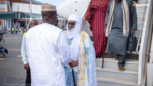 Une délégation parlementaire du Niger est arrivée dans la capitale du Mali - Sputnik Afrique