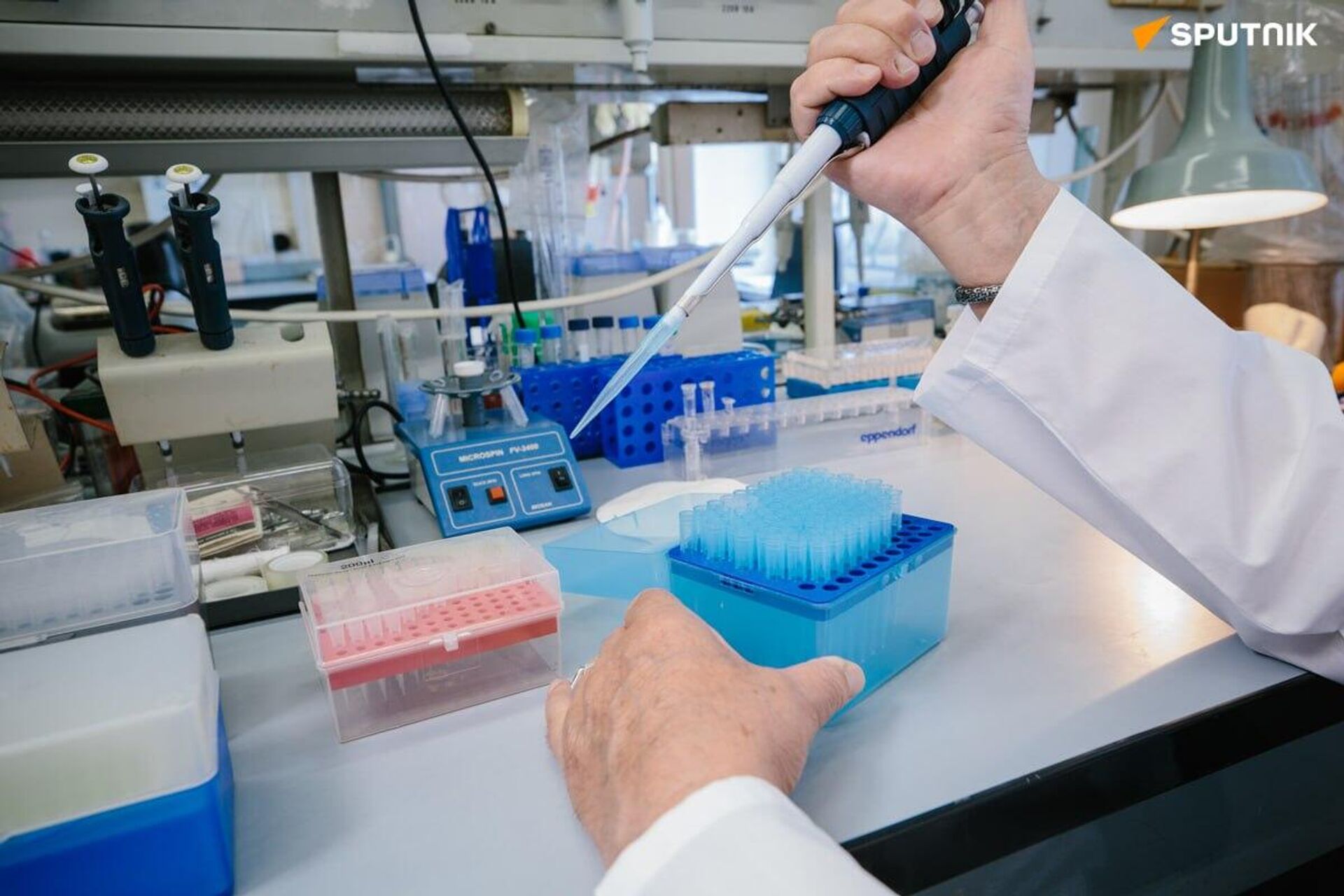 New Russian 'Neurobiotics' to Treat Depression & Parkinson's — Straight From the Gut, Scientist Says New Russian 'Neurobiotics' to Treat Depression & Parkinson's — Straight From the Gut, Scientist Says - Sputnik Africa, 1920, 05.10.2025