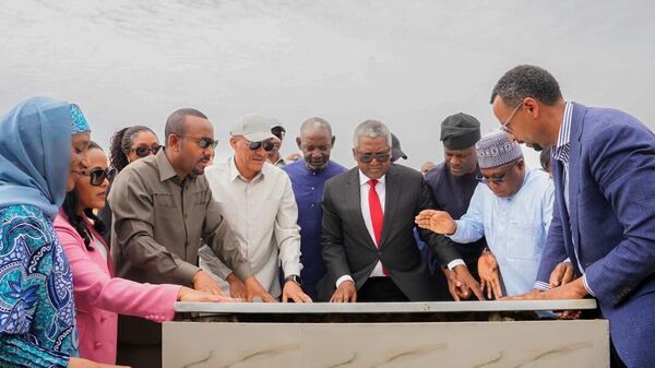 Dangote & Ethiopia Partner on One of World's Largest Fertilizer Plants: What We Know So Far - Sputnik Africa