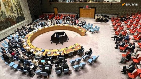 Avant d'être membre du Conseil de sécurité de l'Onu avec droit de veto, l'Afrique doit faire peser sa voix – un analyste - Sputnik Afrique