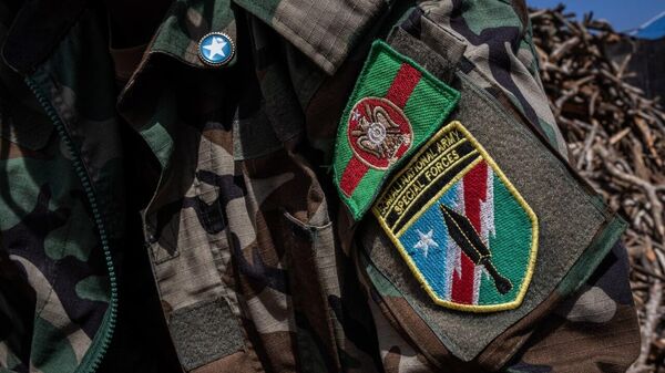 Somali Army Recaptures Strategic Town of Awdhegle in Major Boost Against Al-Shabaab* - Sputnik Africa