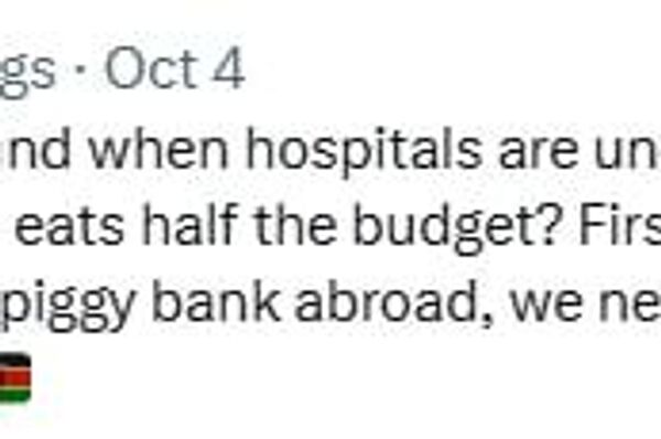 'A Sovereign Wealth Fund When Hospitals Are Underperforming': Ruto's Initiative Sparks Skepticism 'A Sovereign Wealth Fund When Hospitals Are Underperforming': Ruto's Initiative Sparks Skepticism - Sputnik Africa