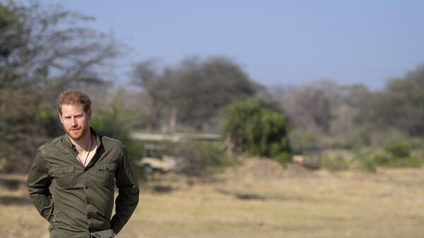 Le Prince Harry au Botswana - Sputnik Africa