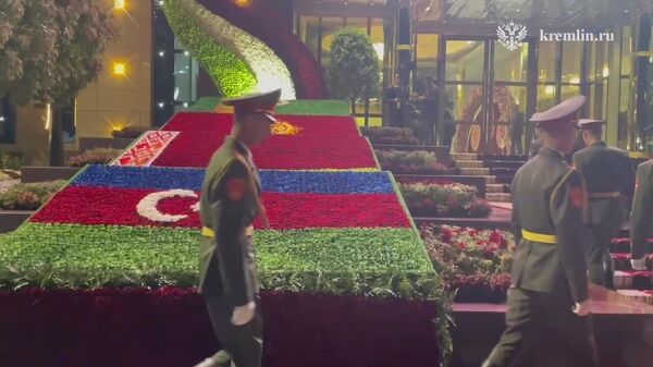 ▶ Tapis de fleurs: réception spectaculaire de Vladimir Poutine à Douchanbé, capitale tadjike - Sputnik Afrique