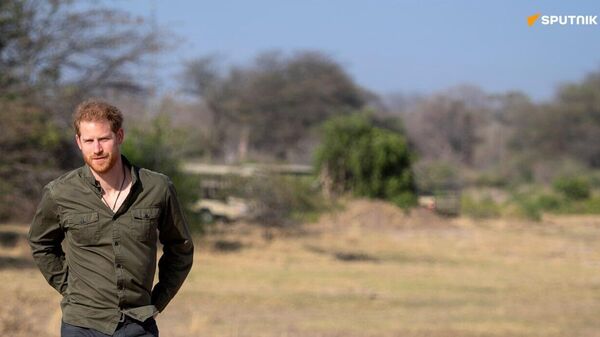 Chad Ends Partnership With Wildlife Protection Association Linked to Prince Harry - Sputnik Africa