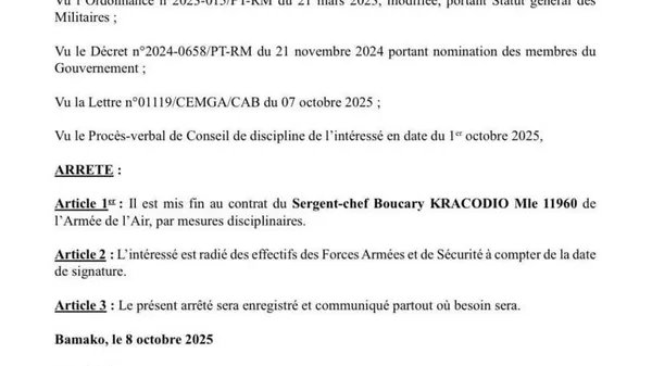 Onze militaires maliens, dont deux généraux de brigade, radiés après un complot présumé - Sputnik Afrique