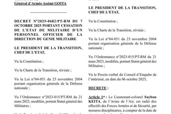 Onze militaires maliens, dont deux généraux de brigade, radiés après un complot présumé - Sputnik Afrique