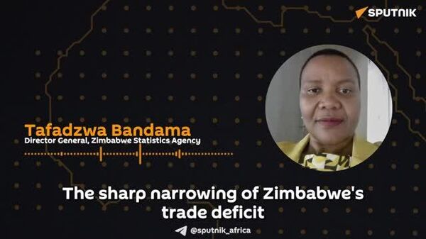 Zimbabwe’s Economy Rebounds With Strongest Export and Forex Surge in Years - Sputnik Africa
