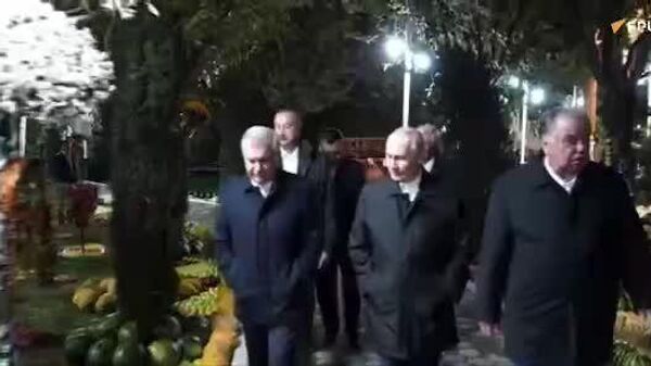 Putin Takes Nighttime Stroll With CIS Leaders Ahead of Informal Dinner in Dushanbe - Sputnik Africa