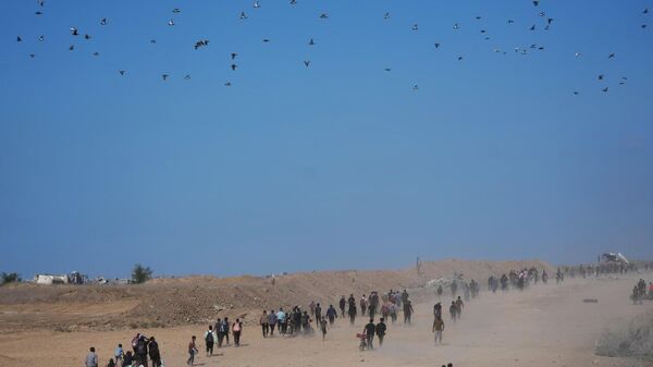 ‘Any Delay in Ending the War is Unacceptable’: Palestinian Leadership Welcomes Gaza Ceasefire - Sputnik Africa