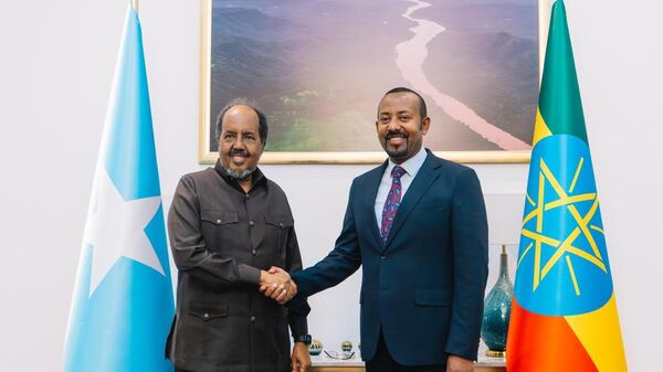 Ethiopia's Abiy Ahmed Holds Talks With Somalia's Hassan Sheikh Mohamud in Addis Ababa - Sputnik Africa