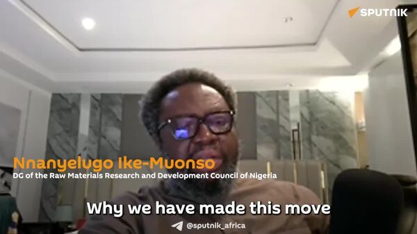 Nigeria Eyes Significant Raw Material Imports to Boost Local Industry Growth - Sputnik Africa