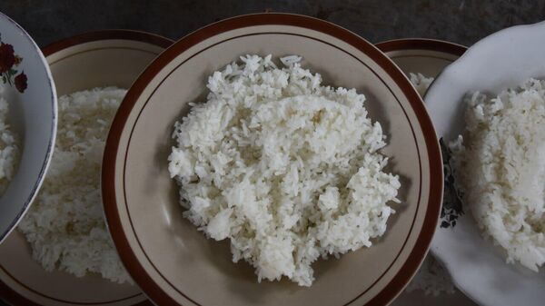 Mozambique Aims to Quadruple Rice Production to Address Malnutrition Crisis - Sputnik Africa
