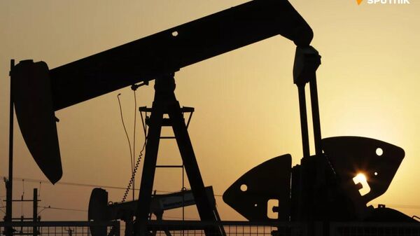 As OPEC Eyes New Members, Africa’s Role in Energy Politics Grows - Sputnik Africa