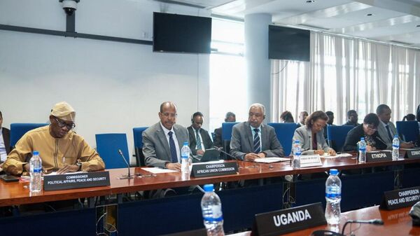 The African Union reportedly suspends Madagascar from its bodies - Sputnik Africa