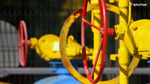 L'oléoduc russo-congolais sera opérationnel dès fin 2029, assure la partie russe - Sputnik Afrique